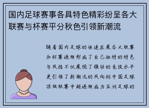 国内足球赛事各具特色精彩纷呈各大联赛与杯赛平分秋色引领新潮流